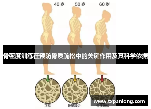 骨密度训练在预防骨质疏松中的关键作用及其科学依据