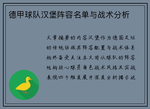 德甲球队汉堡阵容名单与战术分析