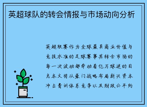英超球队的转会情报与市场动向分析